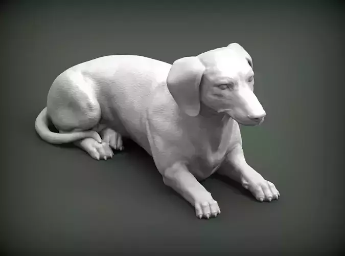 Dachshund 3D print model