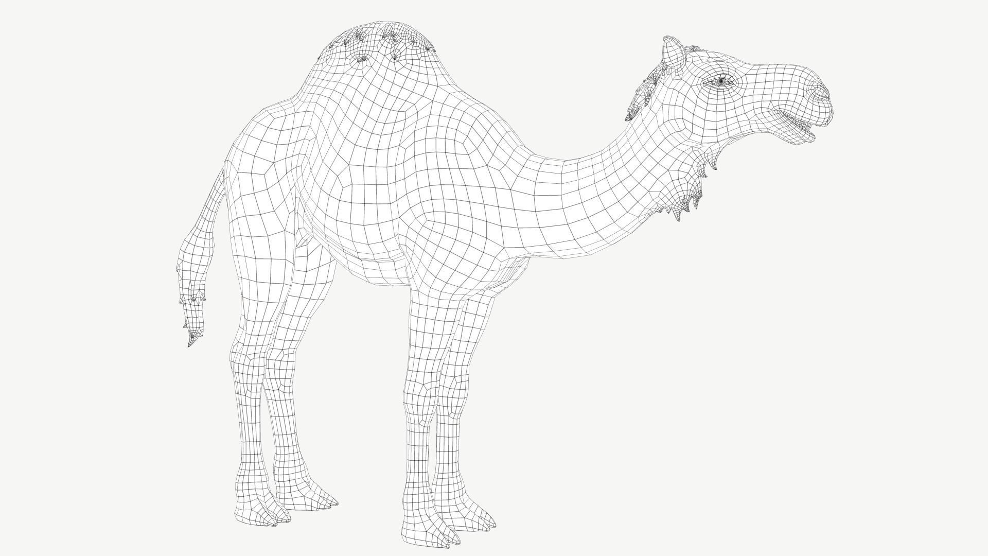 Dromedary Camel Low-poly 3D model_1