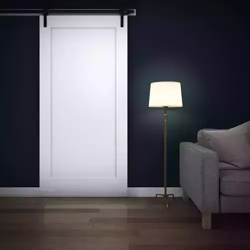 Door 12 - SS1010-BarnDoor