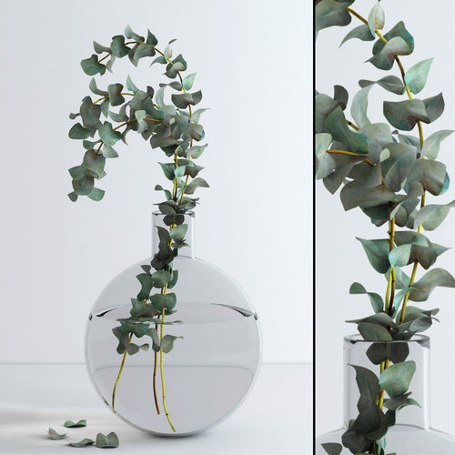 Eucalyptus Baby blue Low-poly 3D model
