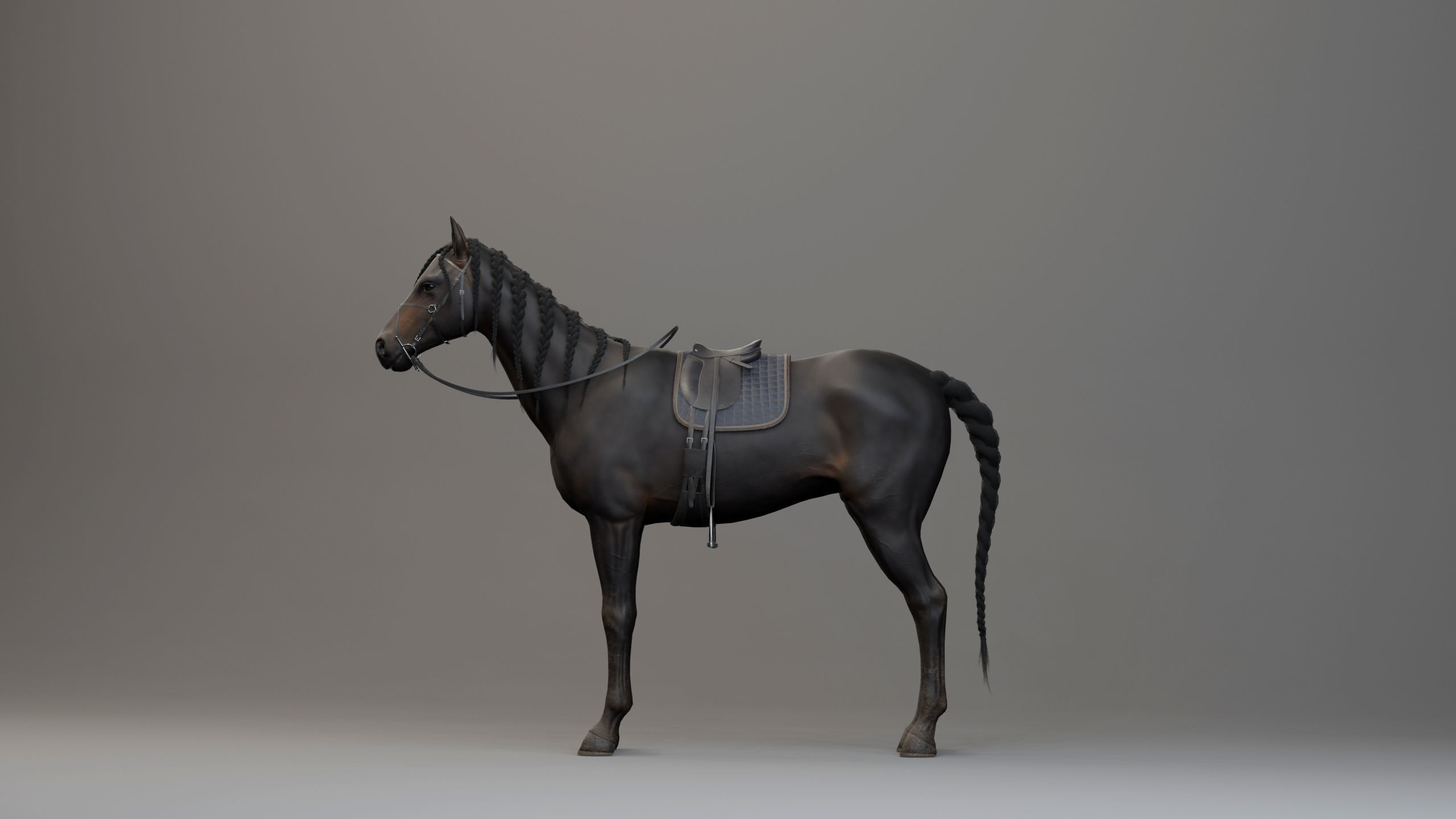 Classic Horse - English Type Low-poly 3D model_6