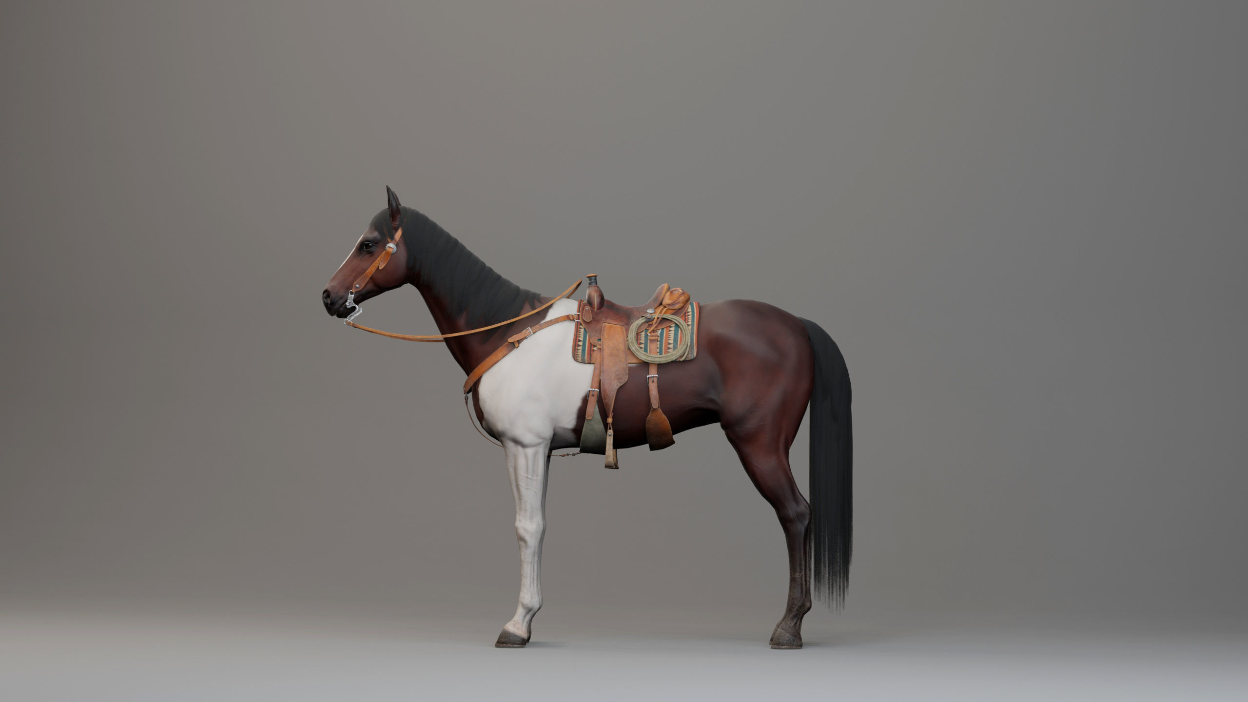 Classic Horse - Western Type Low-poly 3D model_10