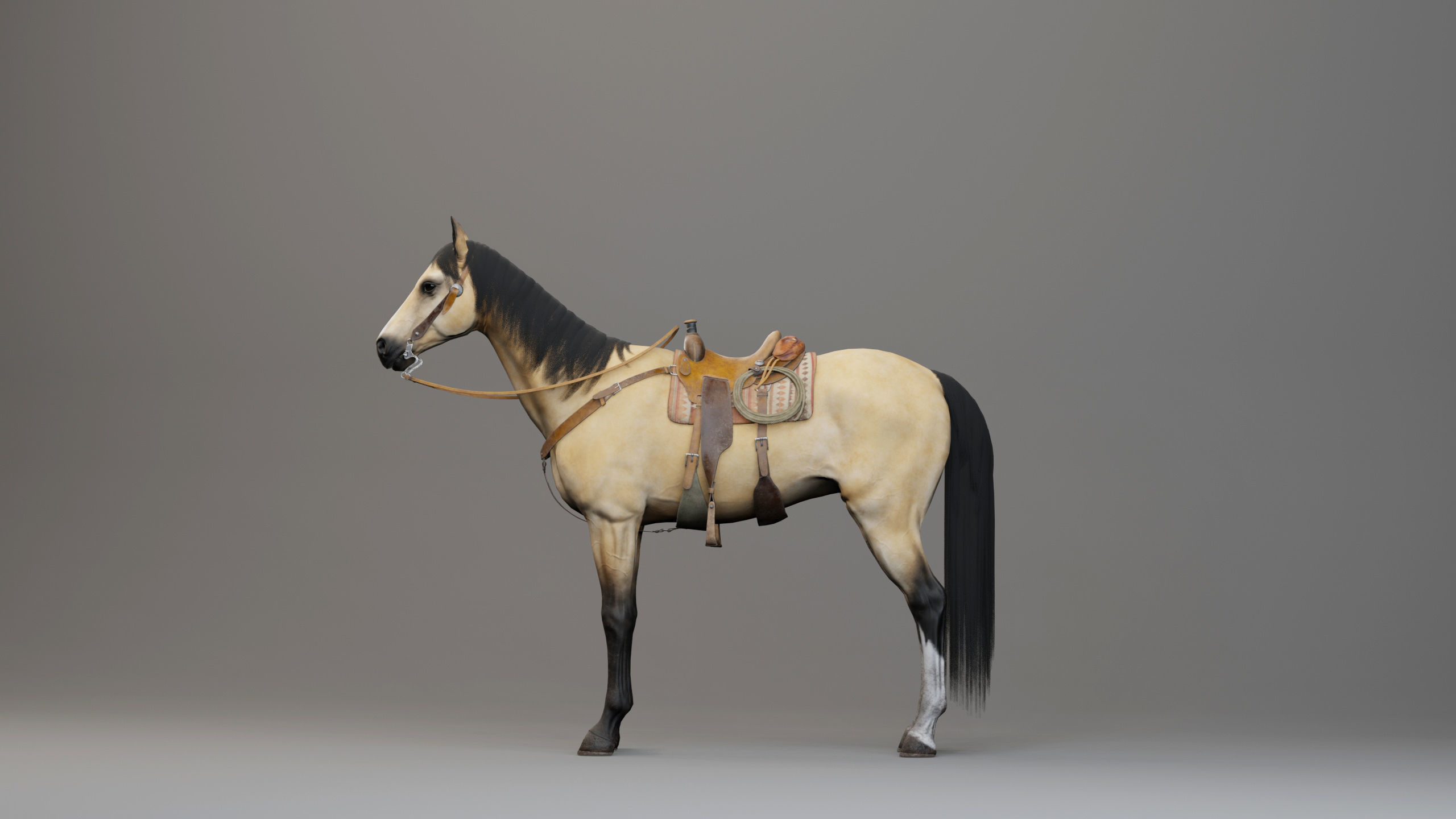 Classic Horse - Western Type Low-poly 3D model_6