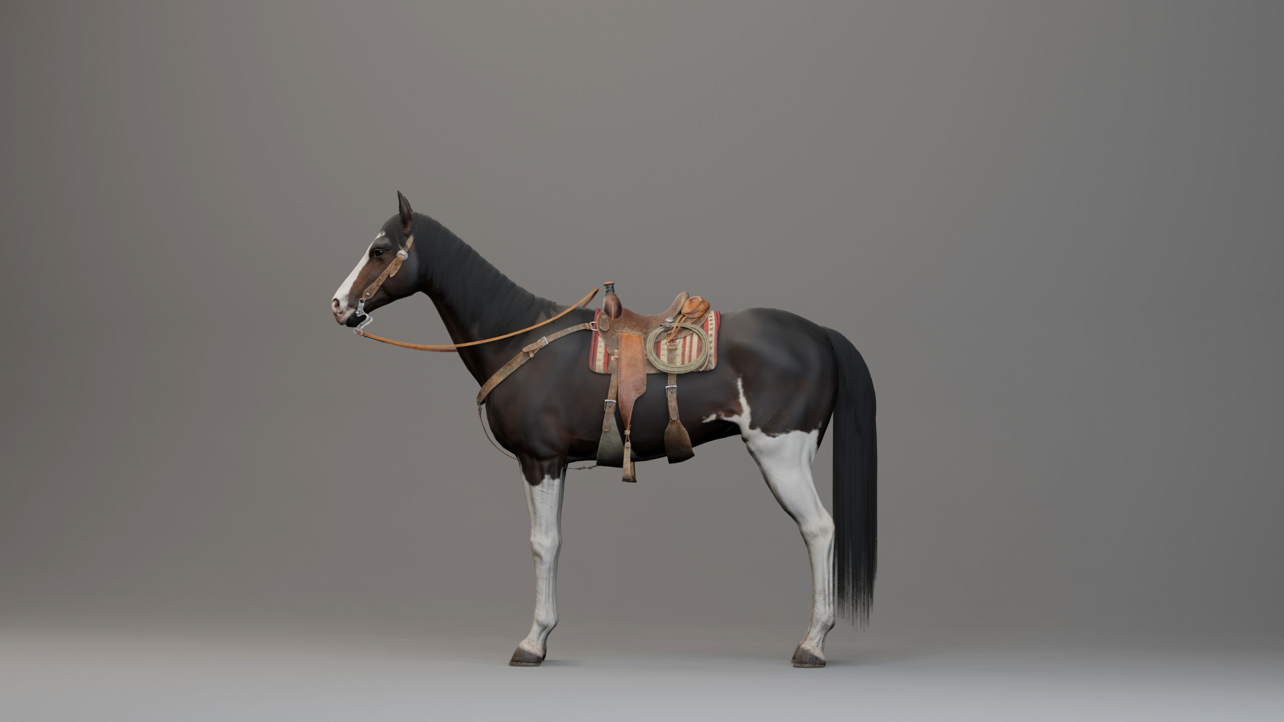 Classic Horse - Western Type Low-poly 3D model_8