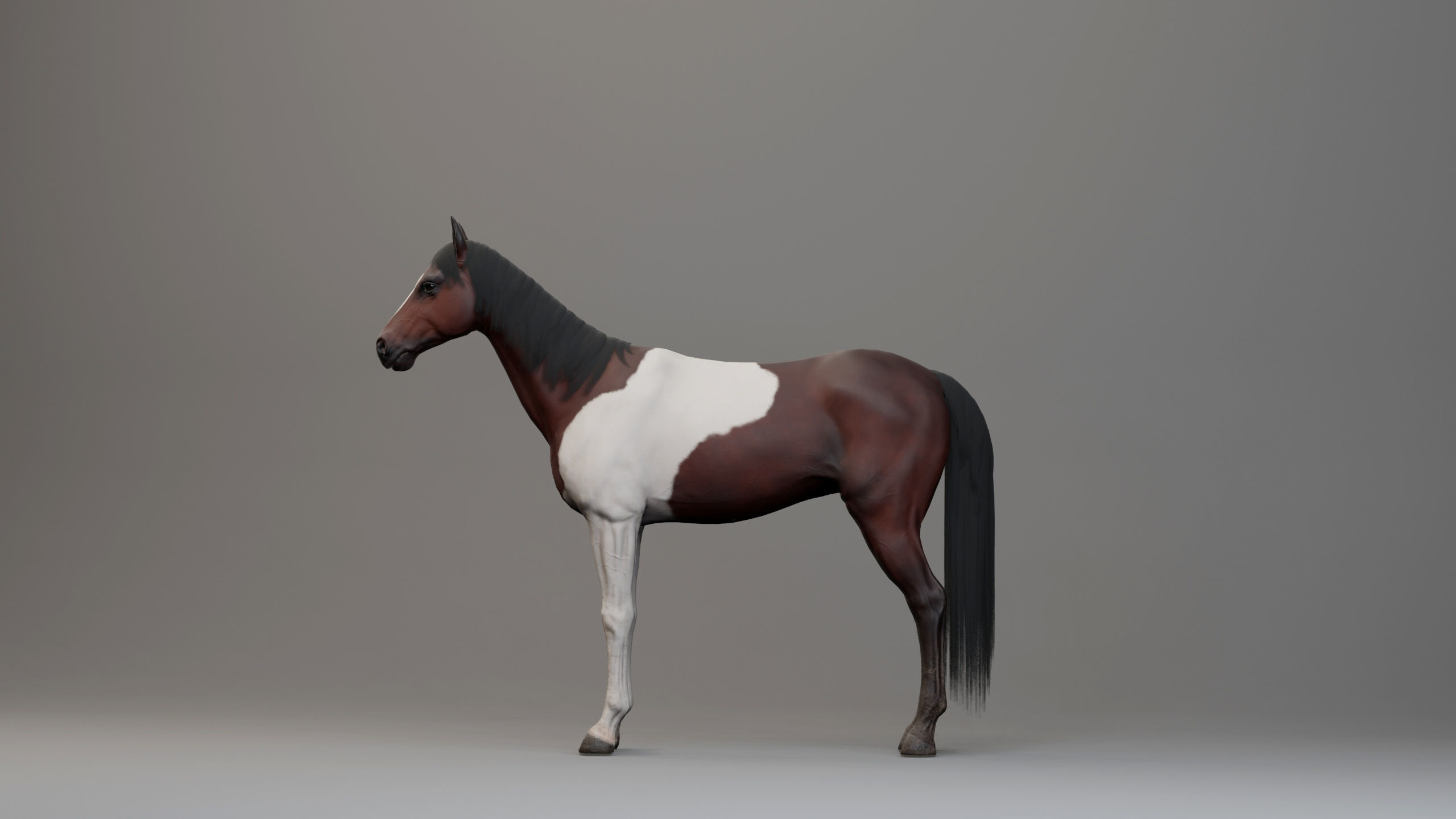 Classic Horse - Western Type Low-poly 3D model_9