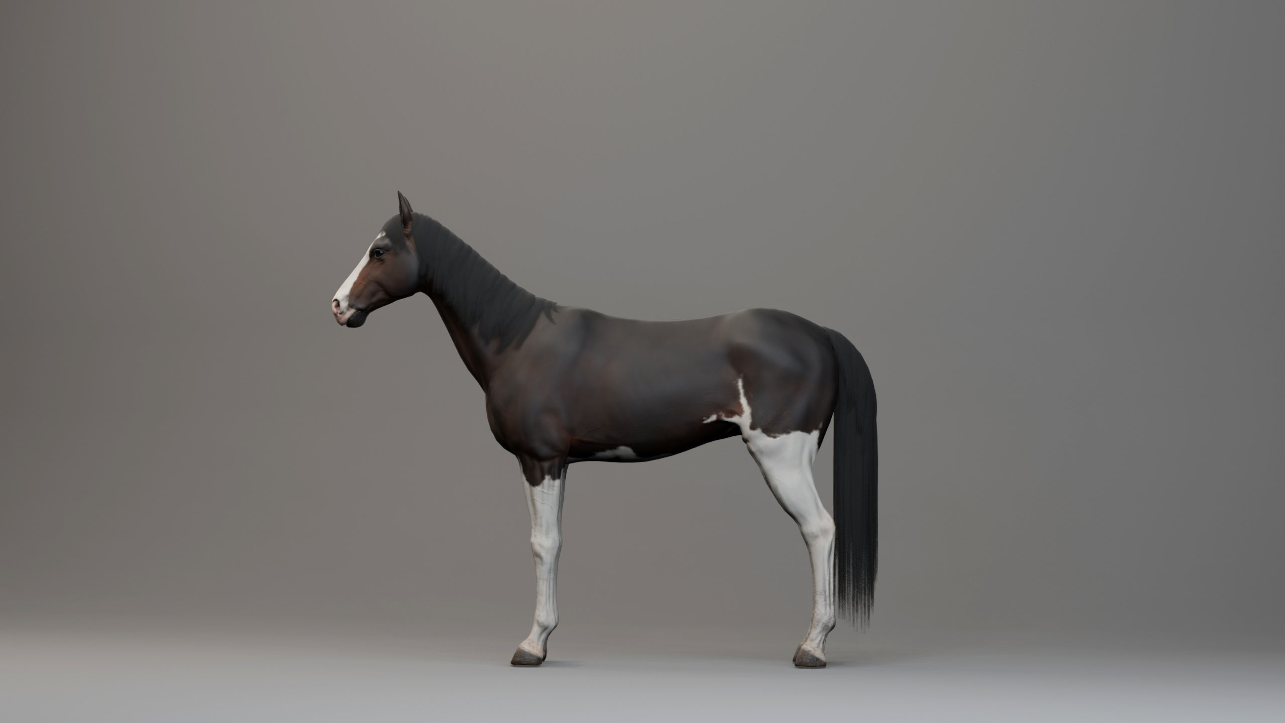 Classic Horse - Western Type Low-poly 3D model_7
