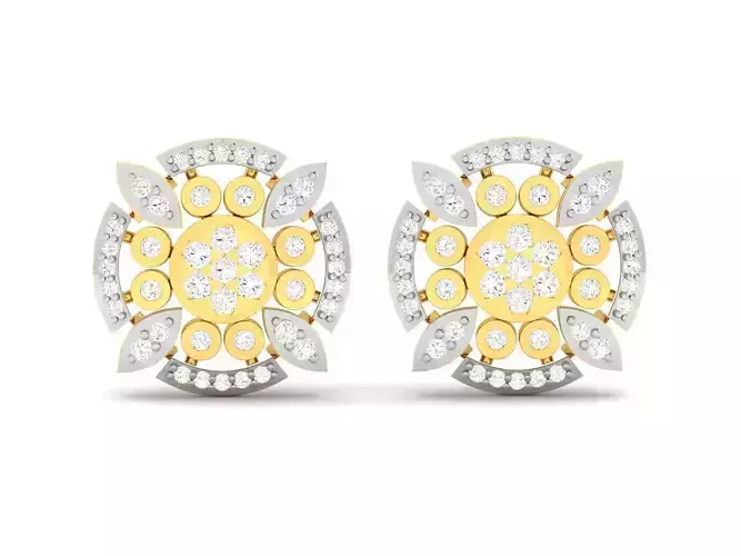 Women Earrings 3D print model
