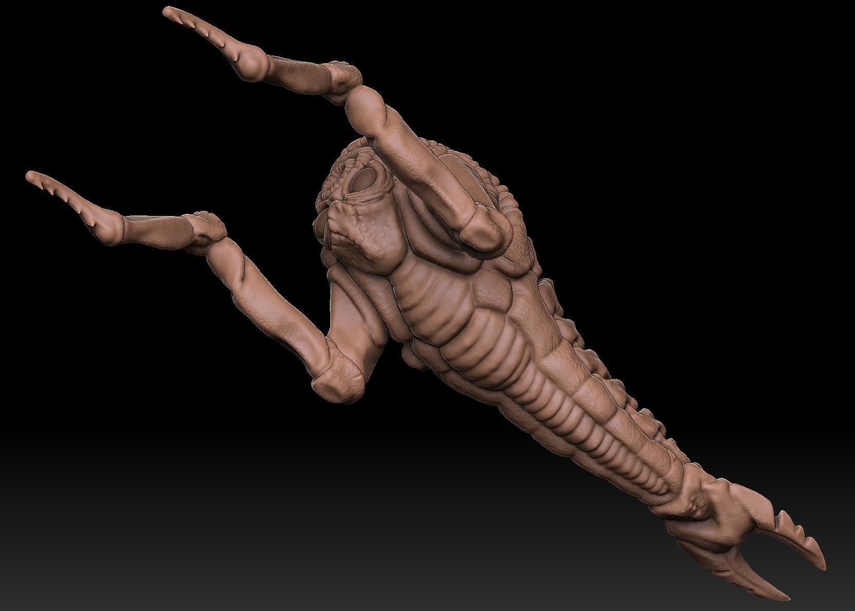 Mutant Shrimp Low-poly 3D model_16