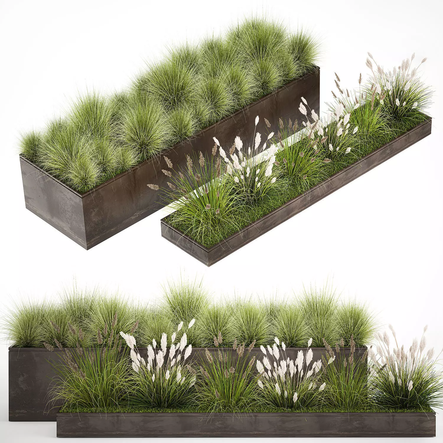 Grass and bushes in a rusty flowerbed 3D model_0