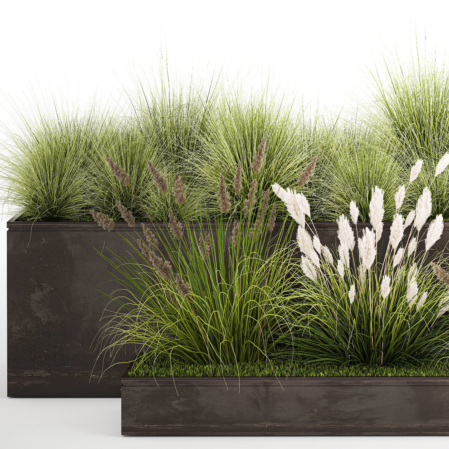 Grass and bushes in a rusty flowerbed 3D model_5