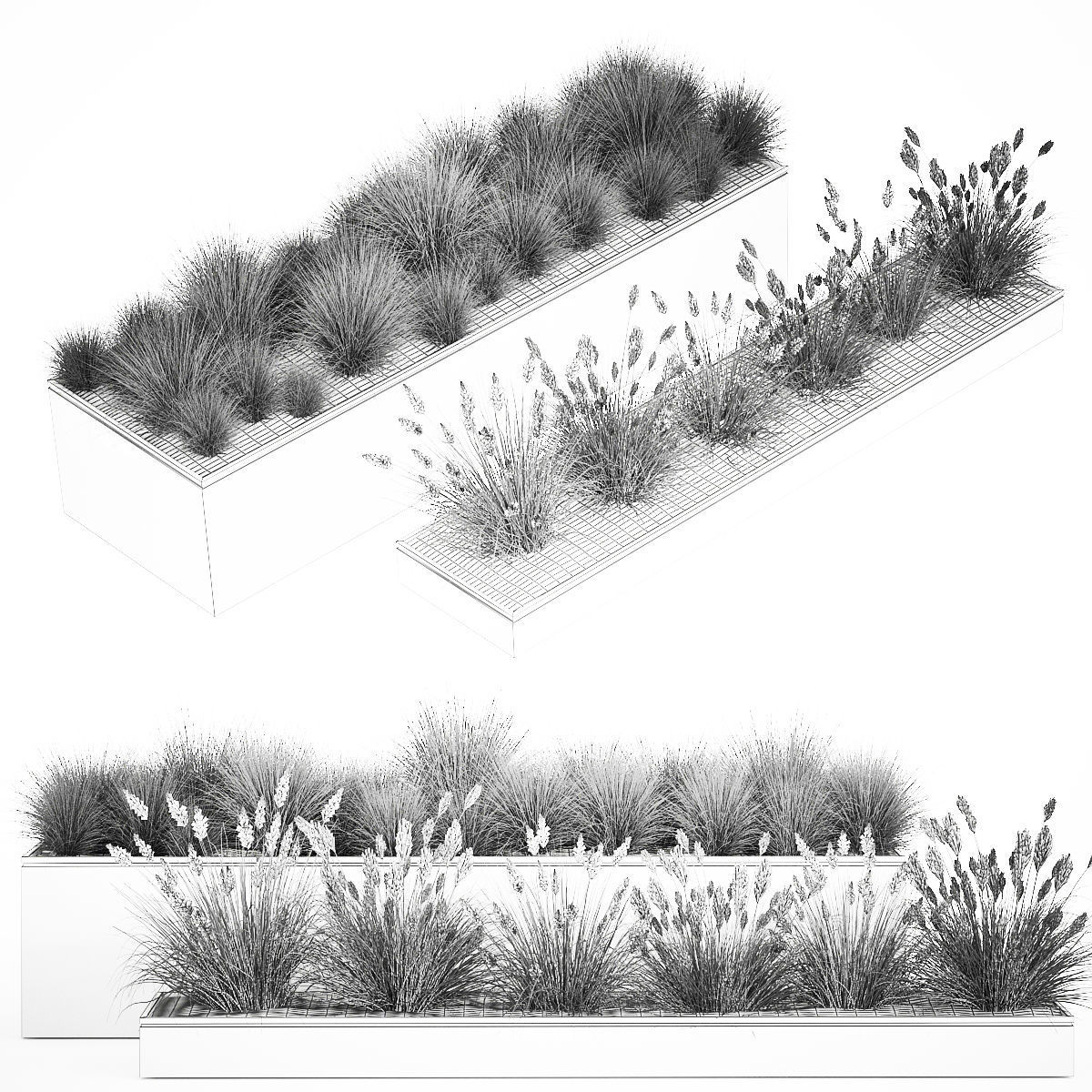 Grass and bushes in a rusty flowerbed 3D model_6