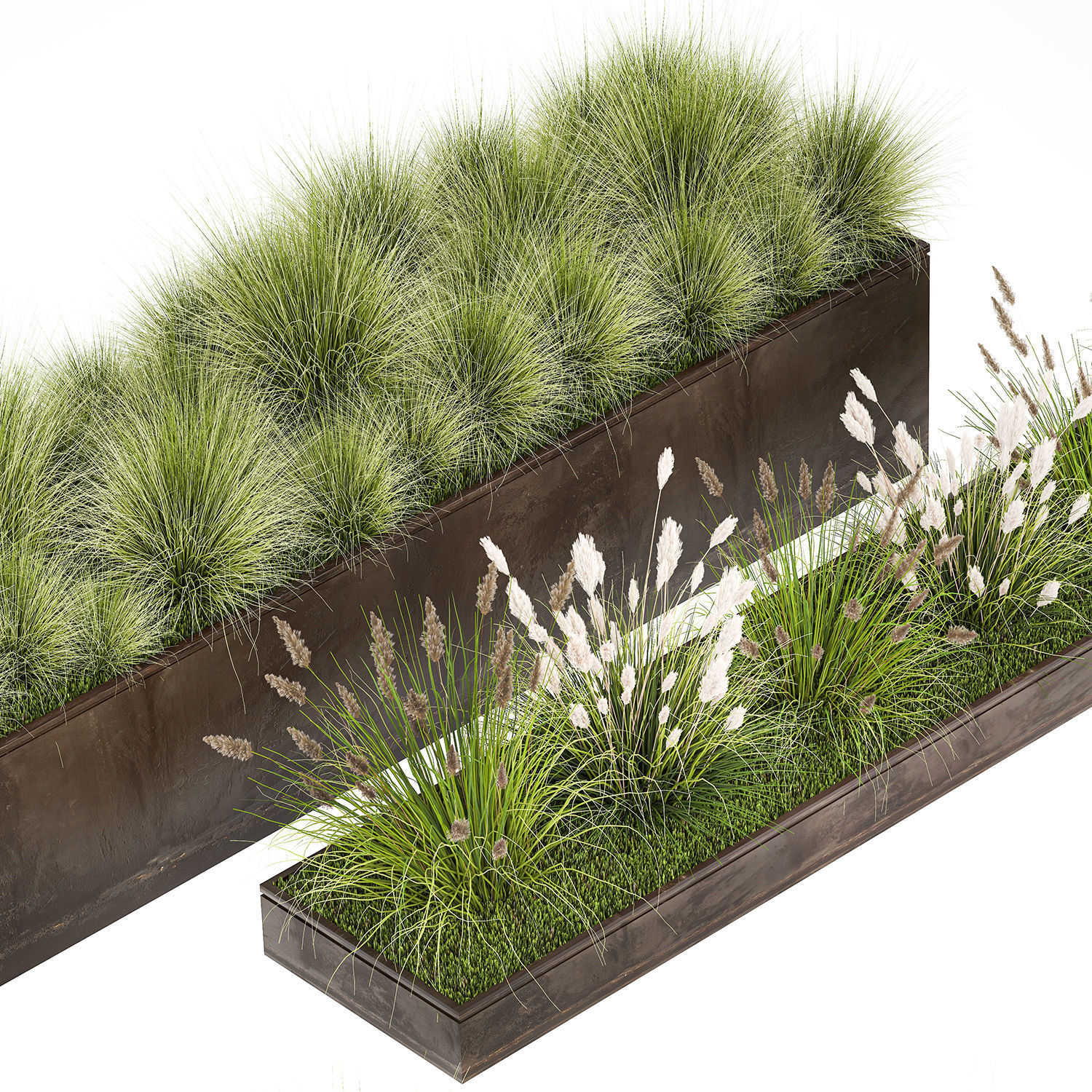 Grass and bushes in a rusty flowerbed 3D model_2