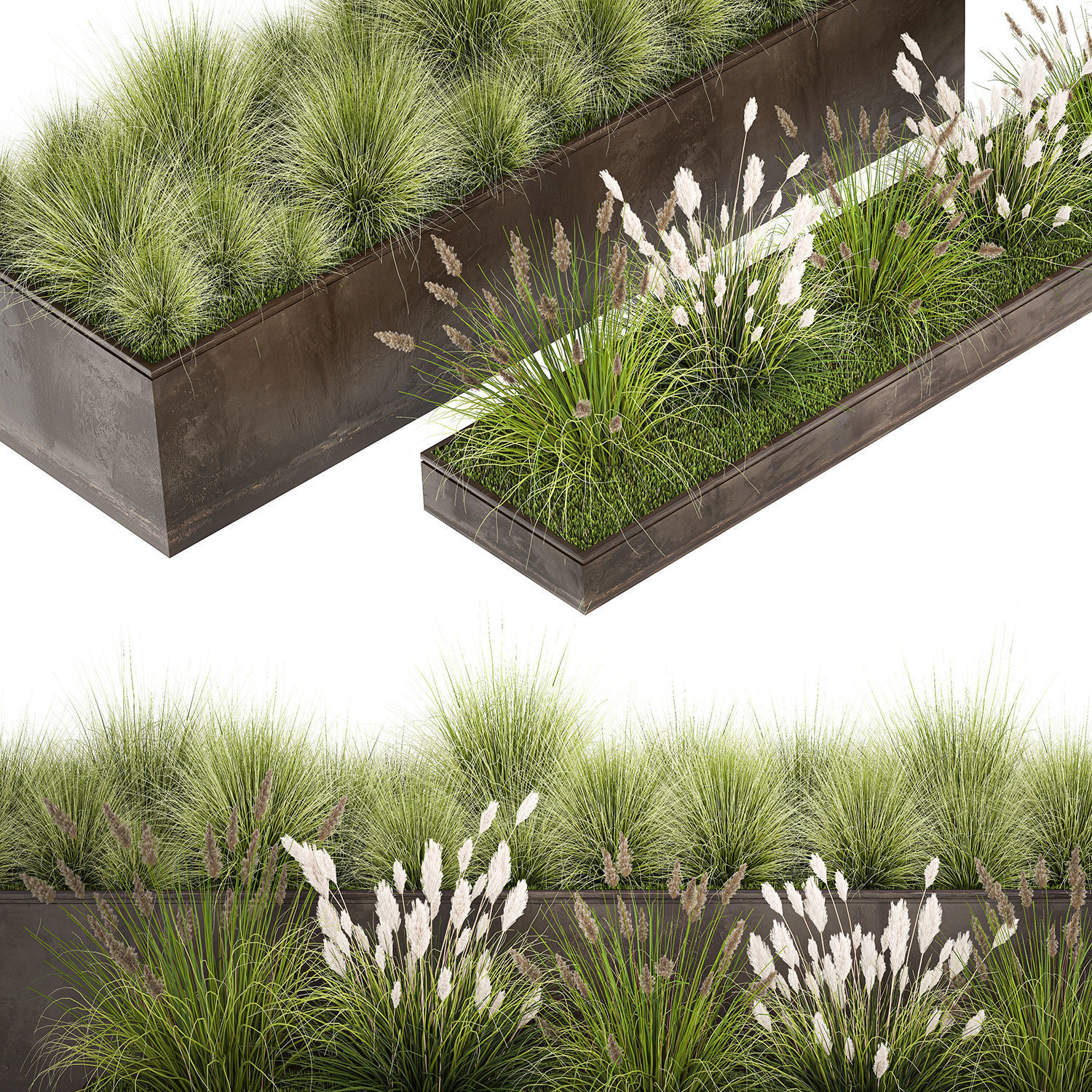Grass and bushes in a rusty flowerbed 3D model_4