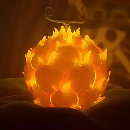 MERA MERA NO MI  - DEVIL FRUIT 3D model