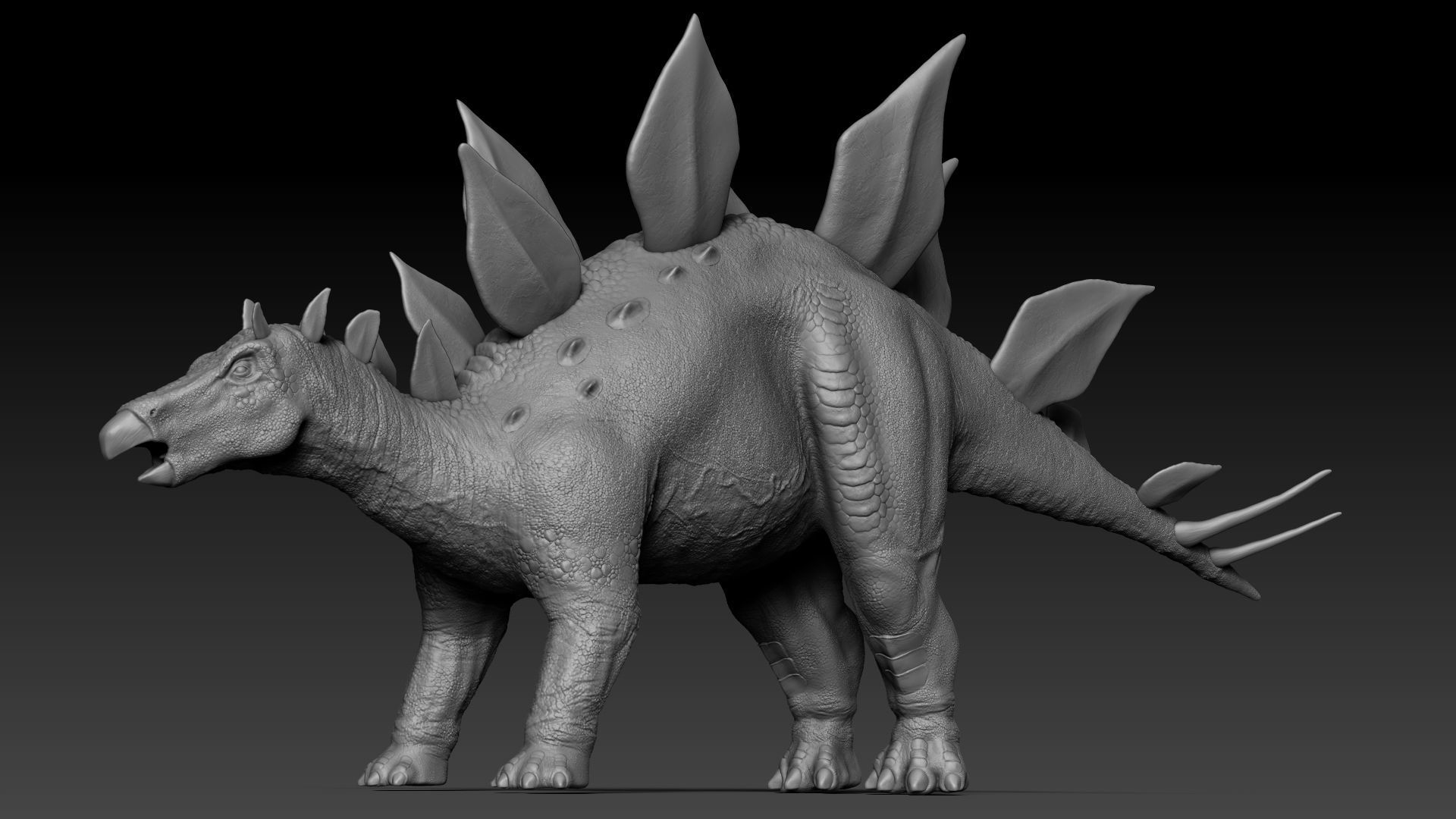 Dinosaur Stegosaurus Sculpt Project 3D model_4