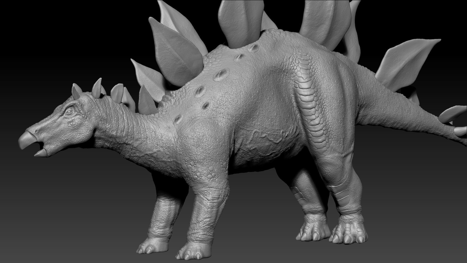 Dinosaur Stegosaurus Sculpt Project 3D model_5