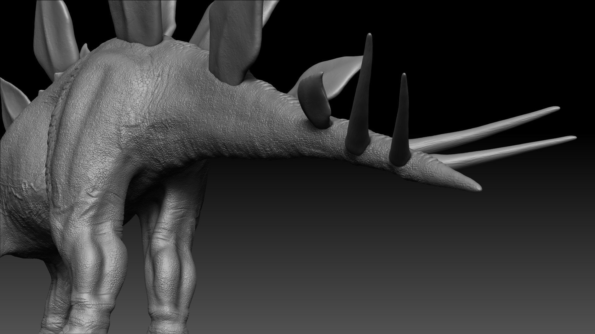 Dinosaur Stegosaurus Sculpt Project 3D model_13