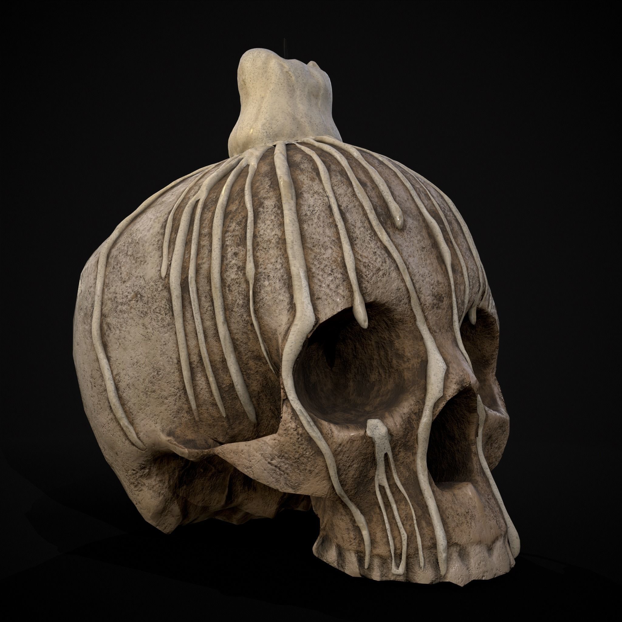 Dripping Wax Cranium Skull Candle  Low-poly 3D model_21