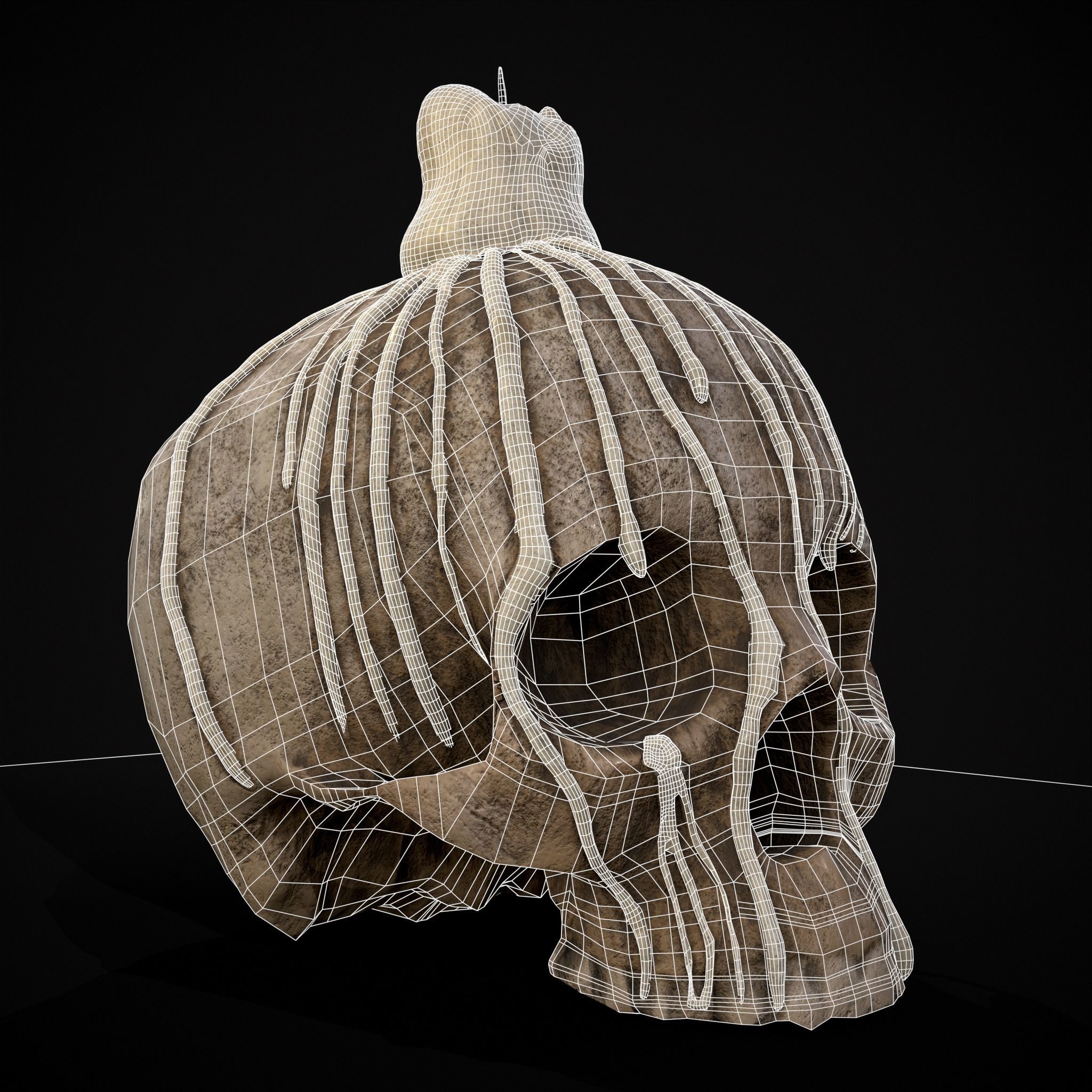 Dripping Wax Cranium Skull Candle  Low-poly 3D model_22