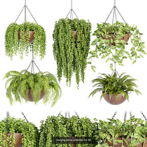 Hanging plants indoor collection 3D Models 3D Model Pack 4