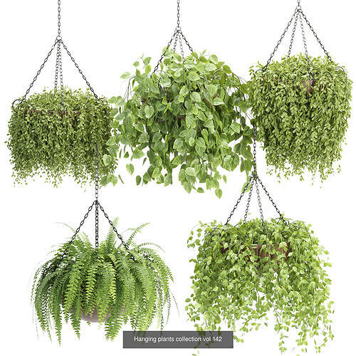 Hanging plants indoor collection 3D Models 3D Model Pack 5