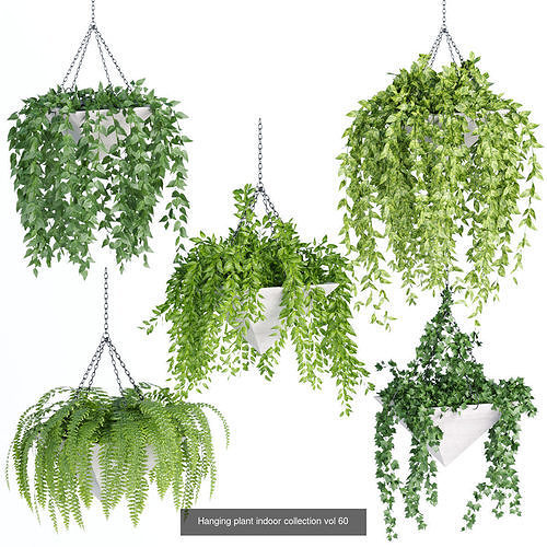 Hanging plants indoor collection 3D Models 3D Model Pack 3
