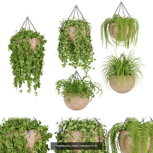 Hanging plants indoor collection 3D Models 3D Model Pack 2