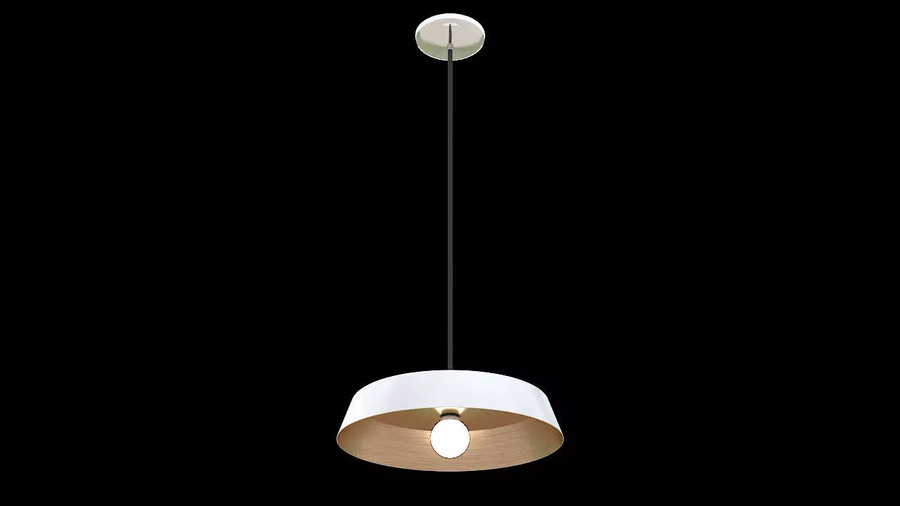 industrial style hanging lamp 3D model_0