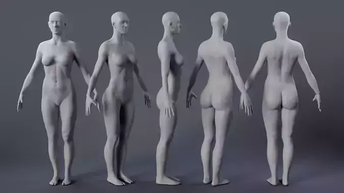 Female Body