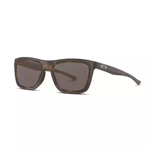 Oakley Holston - Prizm Tungsten Sunglasses