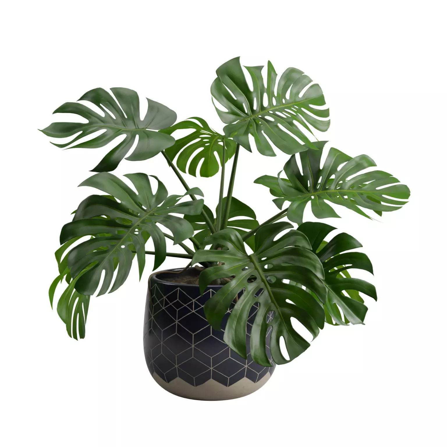 Ceramic Pot Plant Monstera Deliciosa 3D model