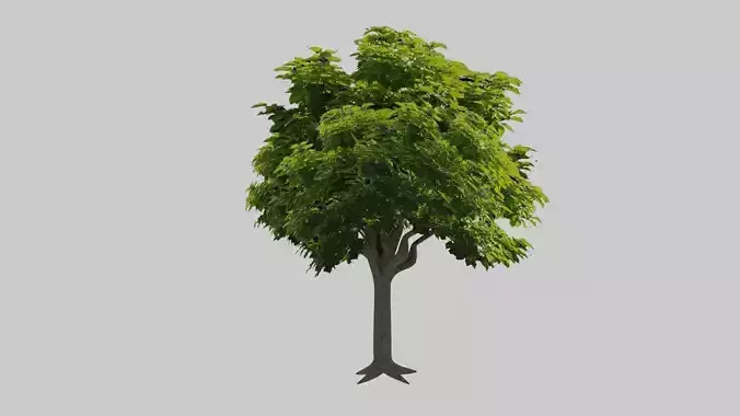 Tree pack Collection  Low - Poly 