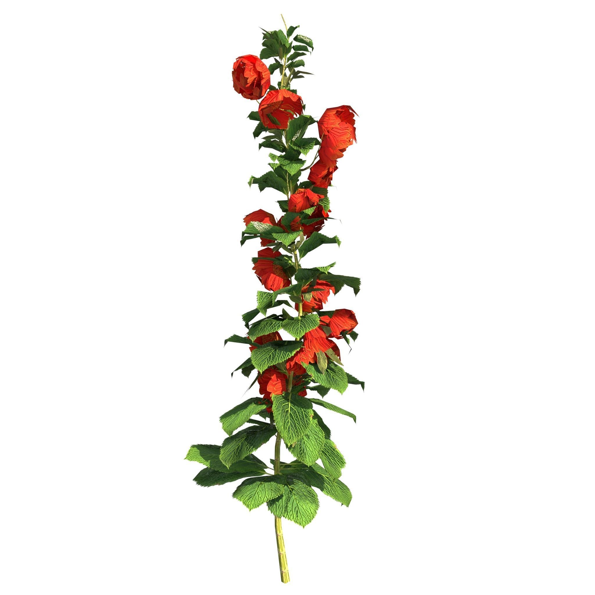 House of Flowers Asset Bundle 3D model_34