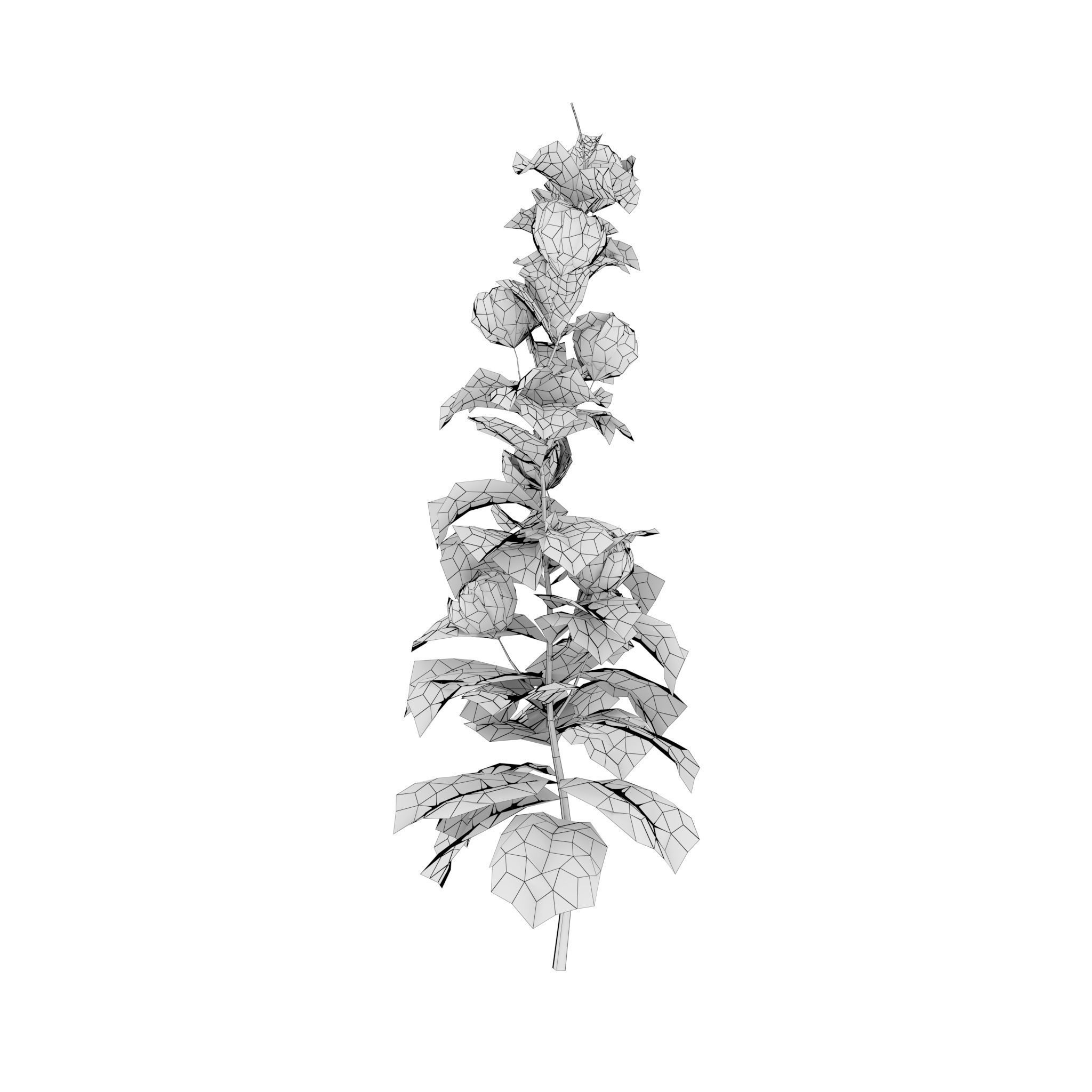 House of Flowers Asset Bundle 3D model_27