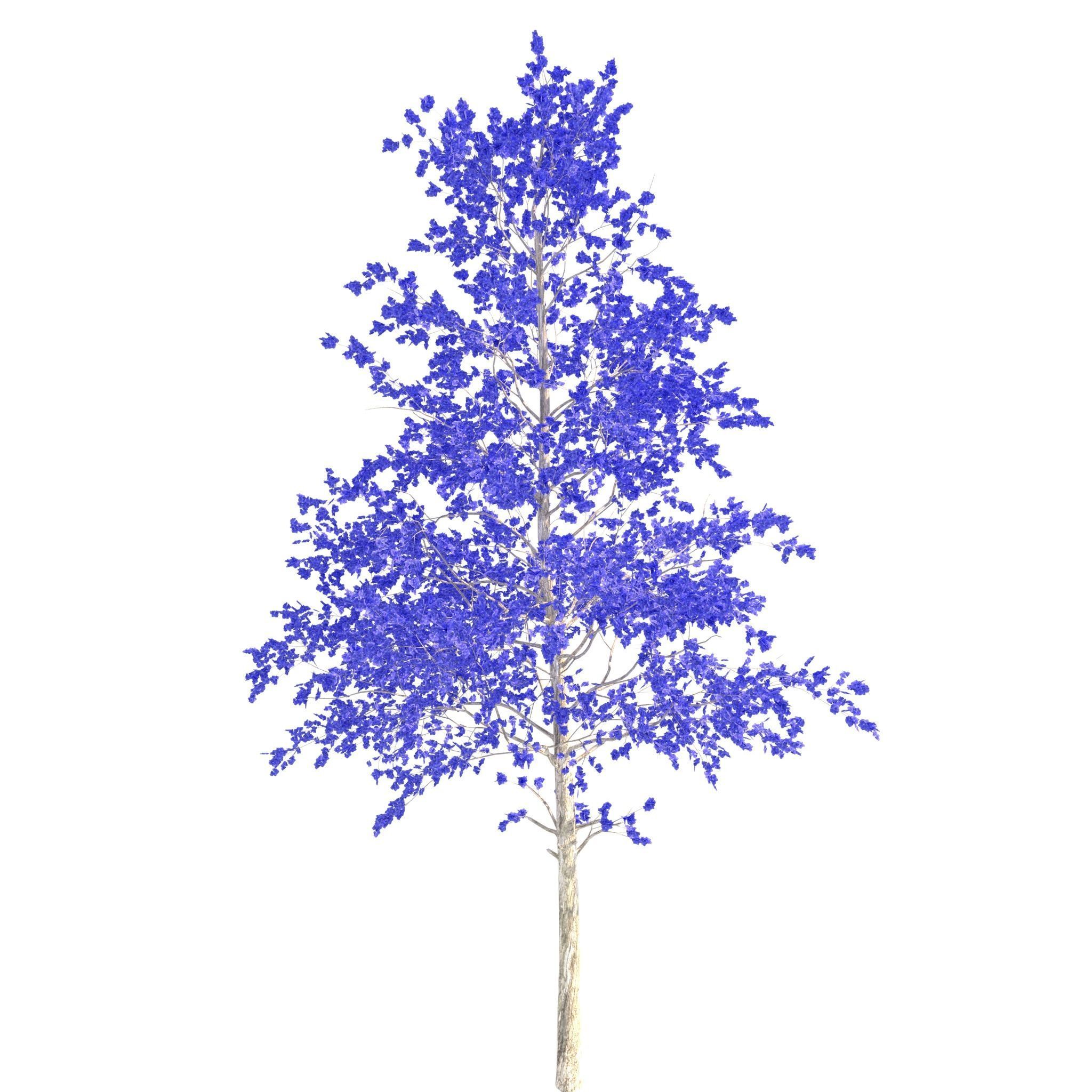 House of Flowers Asset Bundle 3D model_38