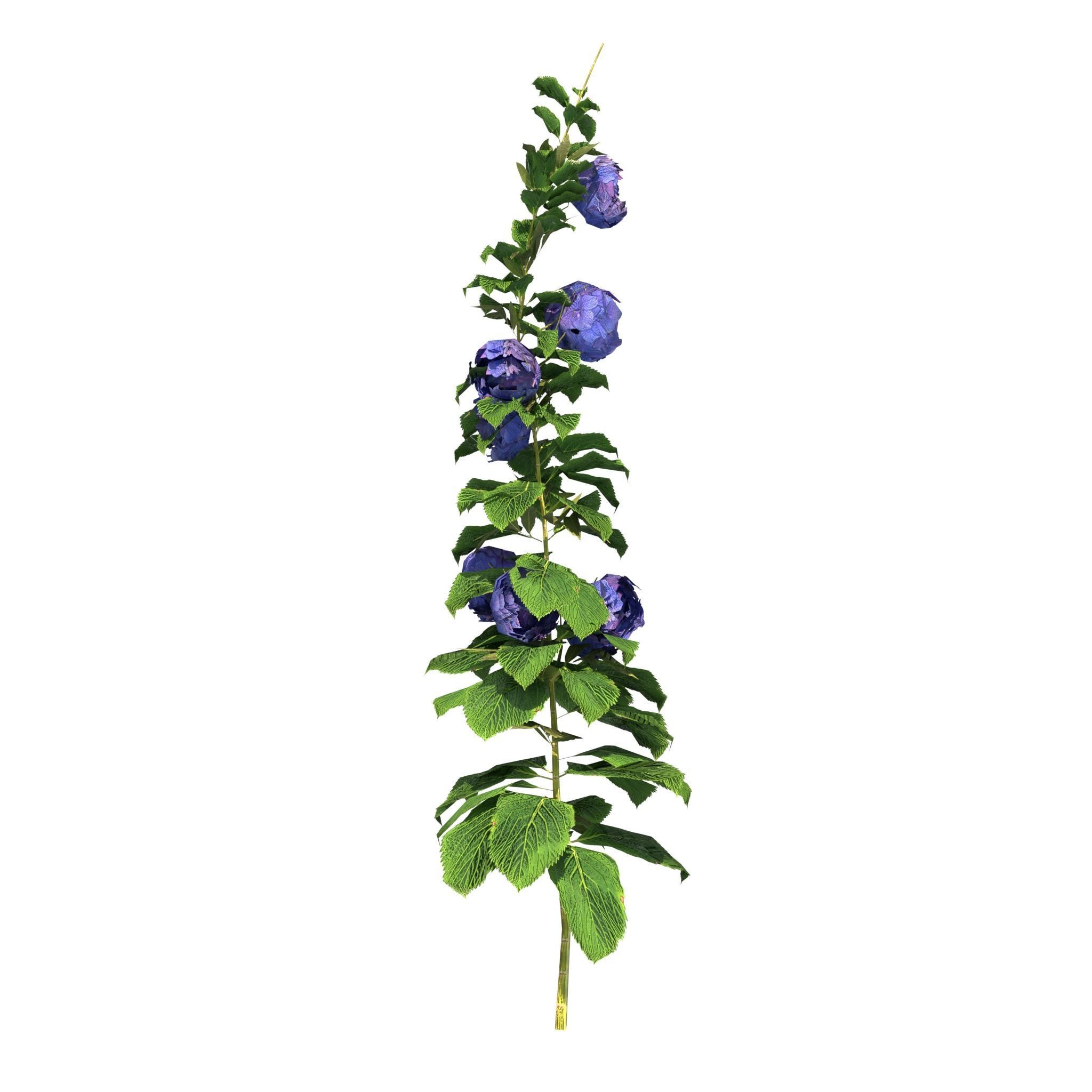 House of Flowers Asset Bundle 3D model_32