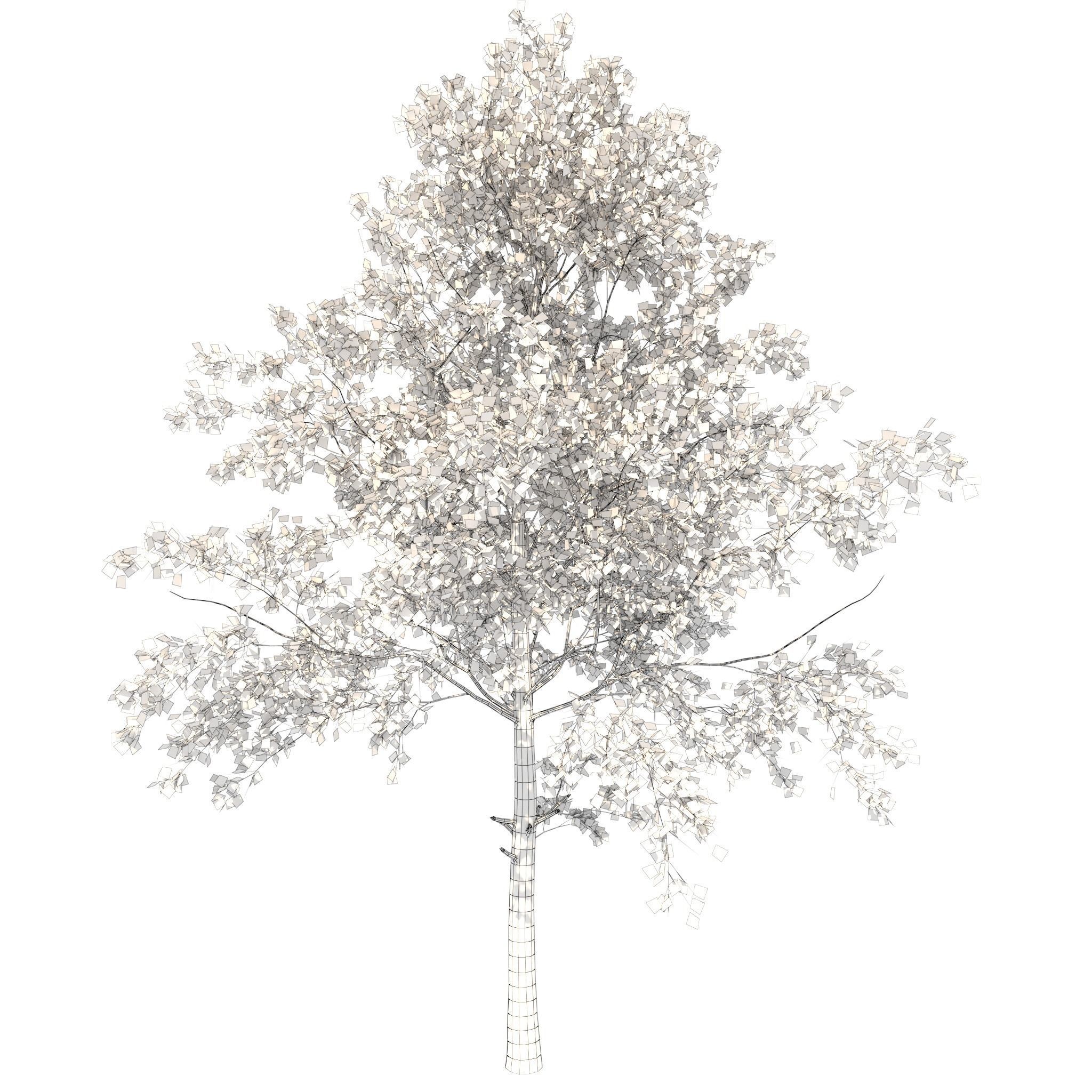 House of Flowers Asset Bundle 3D model_37