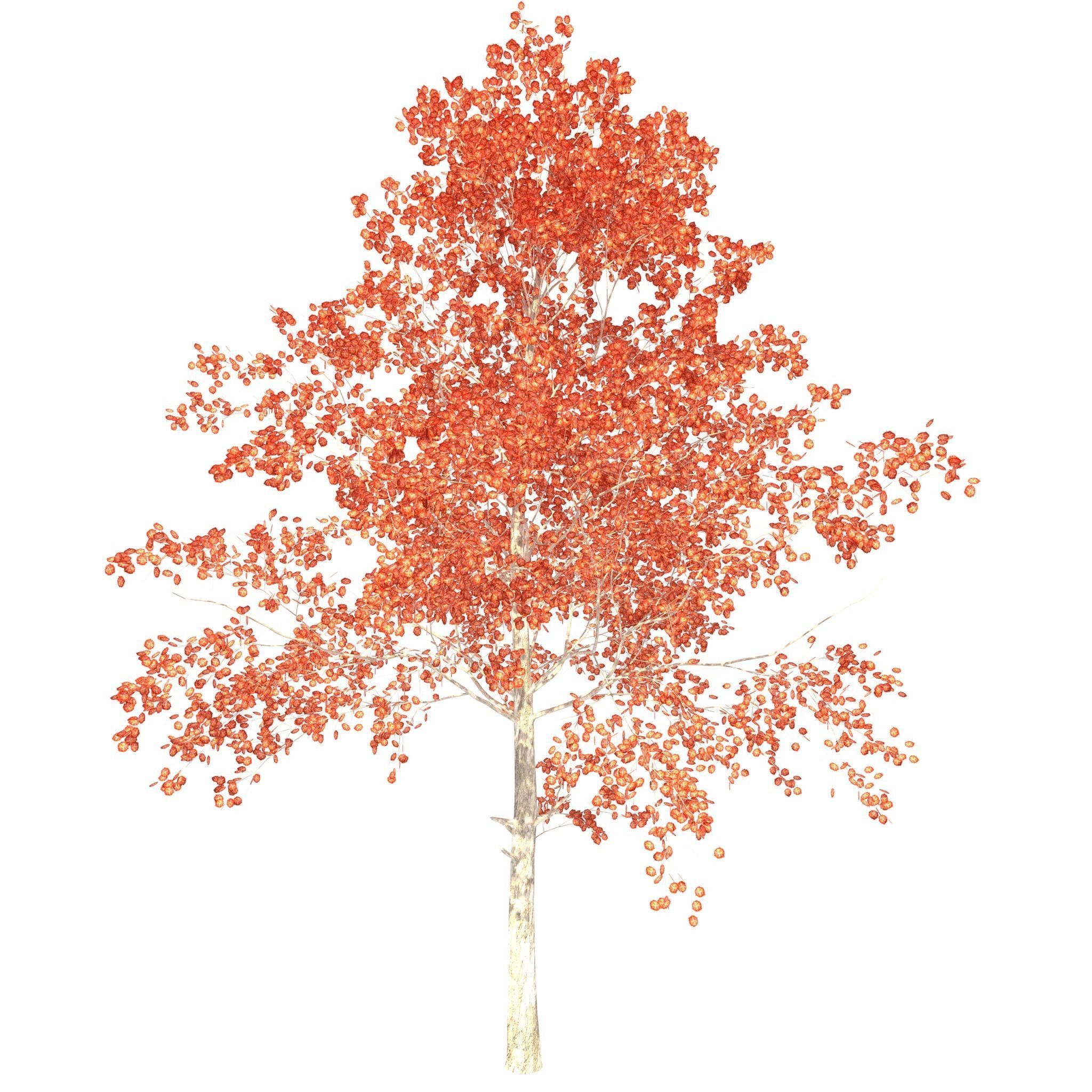 House of Flowers Asset Bundle 3D model_36