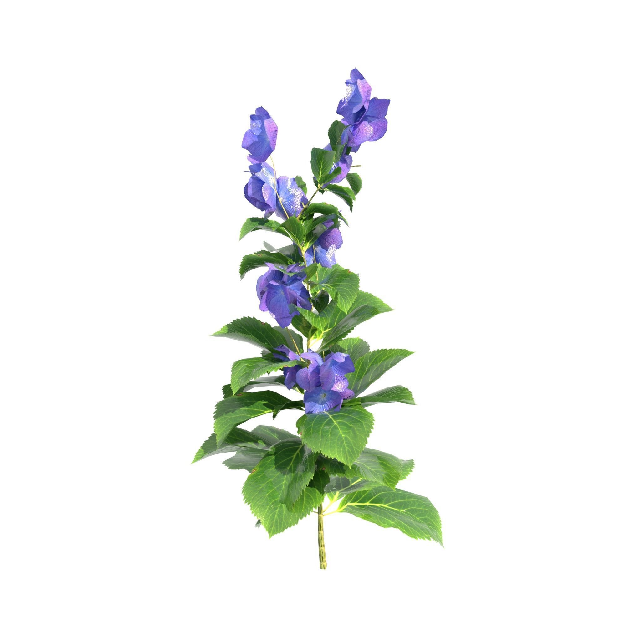 House of Flowers Asset Bundle 3D model_24