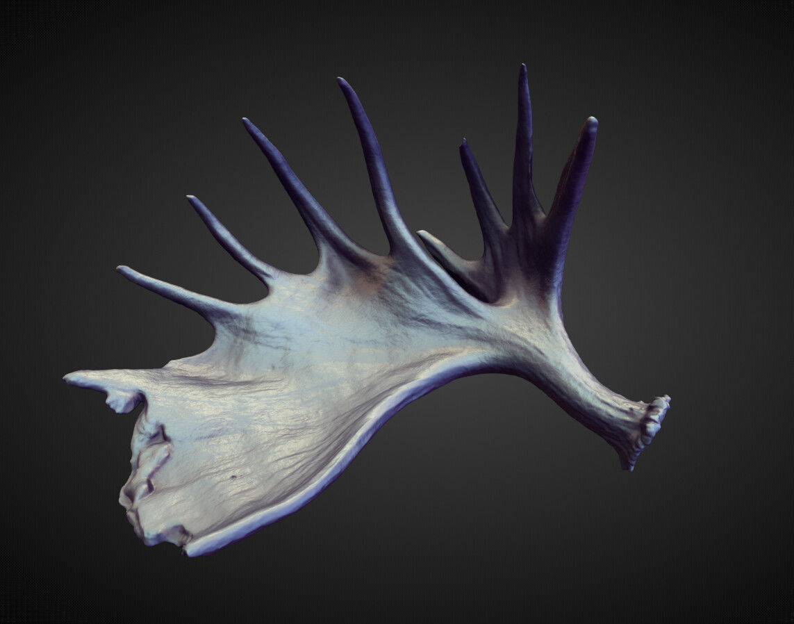 45 HORNS high poly sculpts 3D model_38