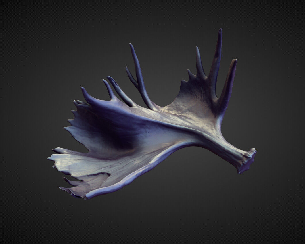 45 HORNS high poly sculpts 3D model_36