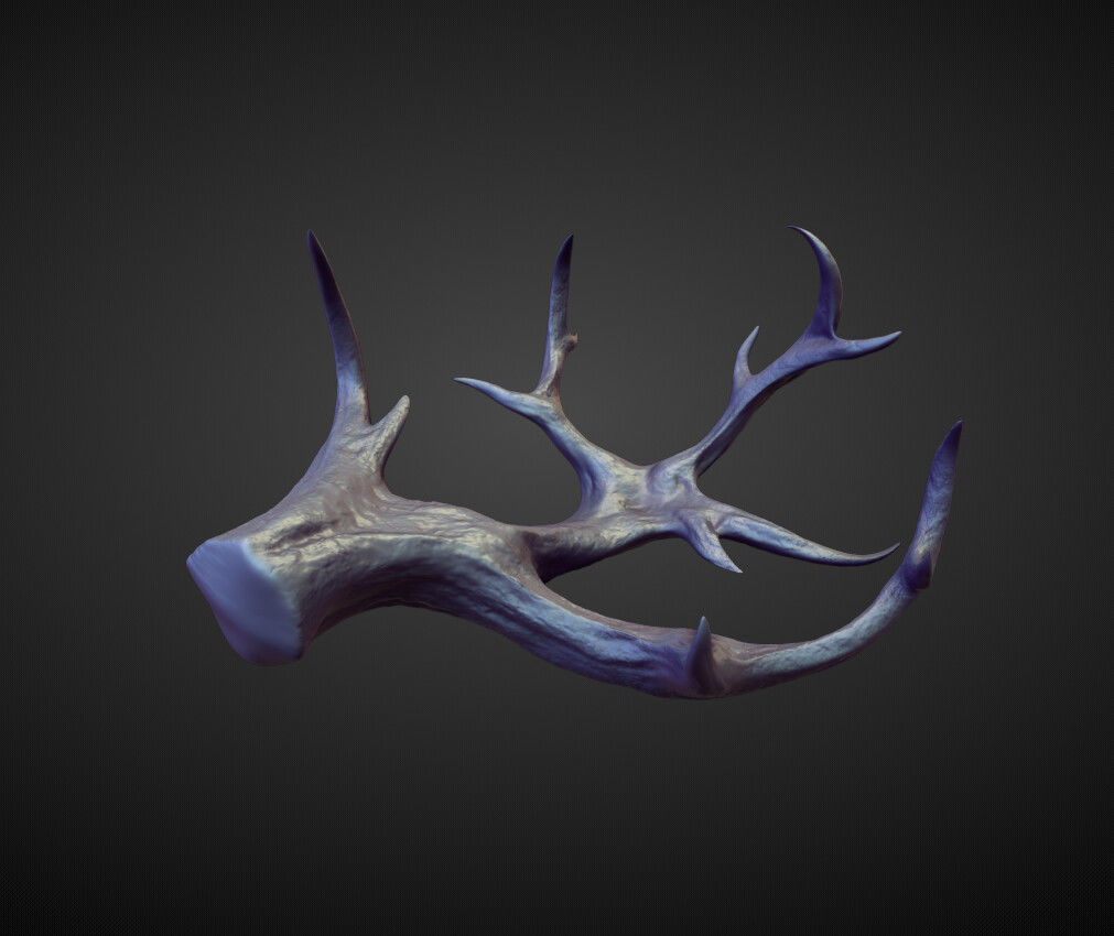 45 HORNS high poly sculpts 3D model_33