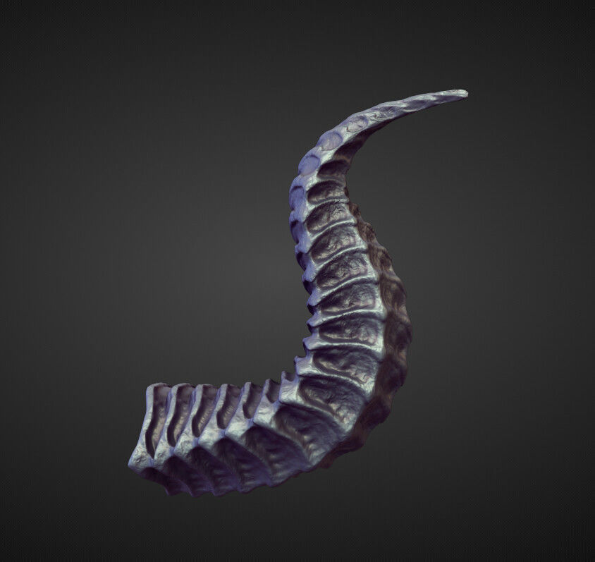 45 HORNS high poly sculpts 3D model_23