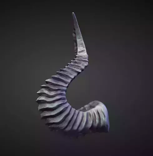 HORN12 high poly sculpt