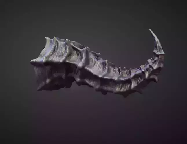HORN13 high poly sculpt