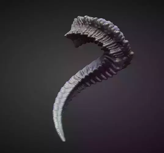 HORN6 high poly sculpt