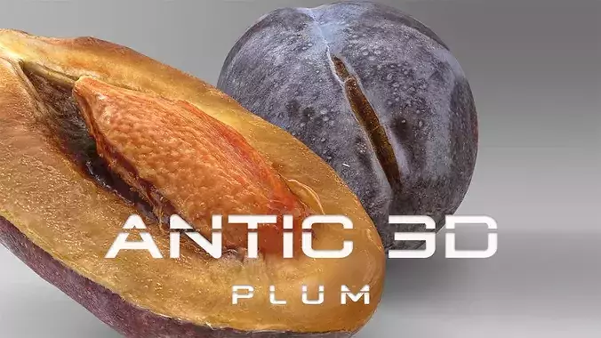 A plum and half a pitted plum Low-poly 3D model