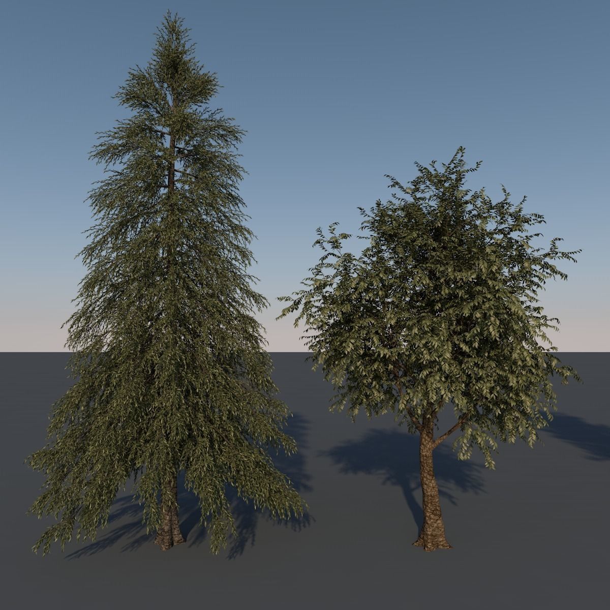 Forest Trees - Realistic Low Poly PBR Trees Models Texture_2
