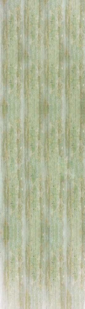 Forest Trees - Realistic Low Poly PBR Trees Models Texture_80