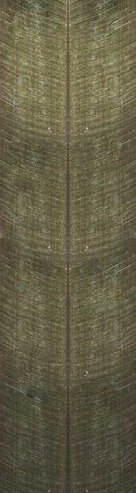 Forest Trees - Realistic Low Poly PBR Trees Models Texture_146